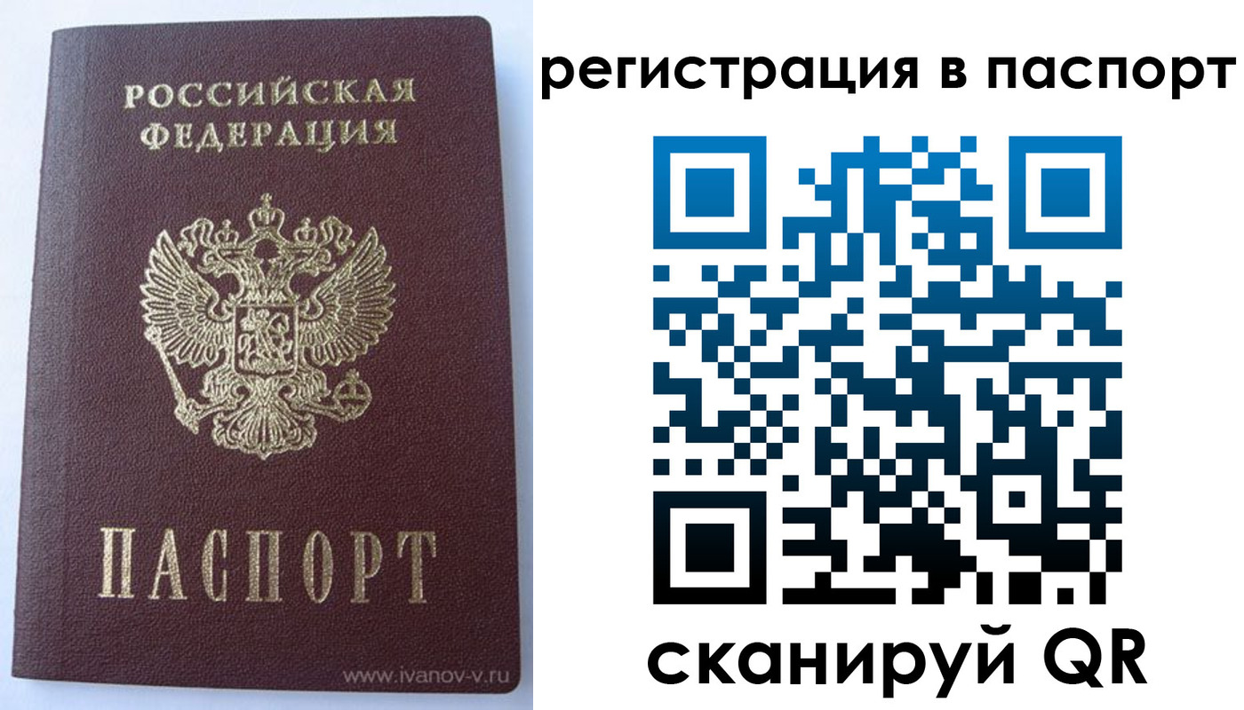 прописка поиск в Новомосковске